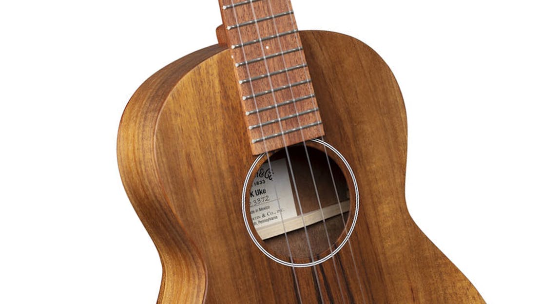 Tenor Ukulele Buying Guide