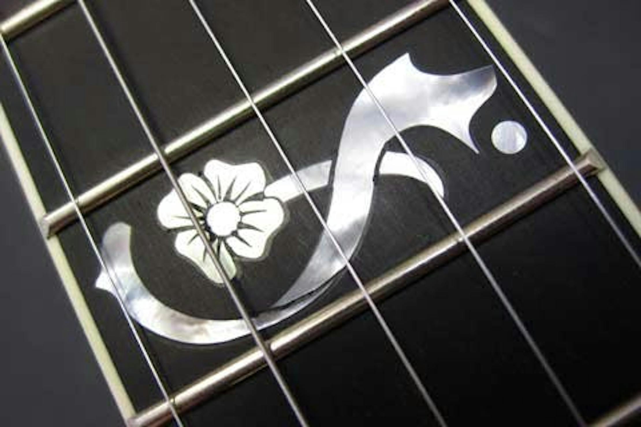 Banjo Parts Defined All the parts of the banjo explained by Eagle