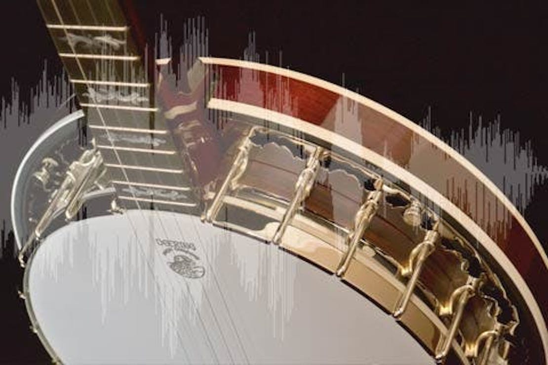 Banjos from Deering, Gold Tone and more