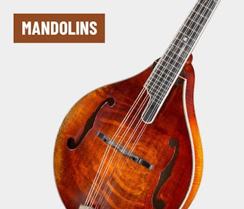 Mandolins