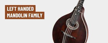 Left Handed Mandolin Family