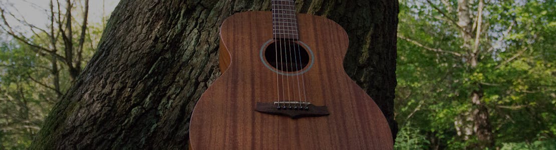 Tanglewood - Winterleaf Guitars