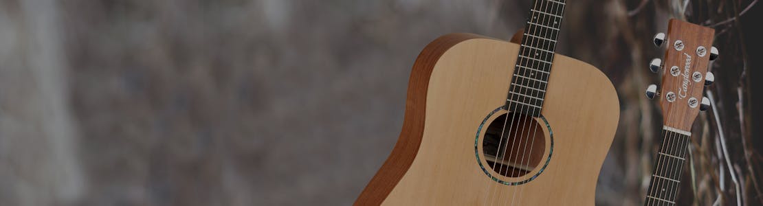 Tanglewood - Roadster II Guitars