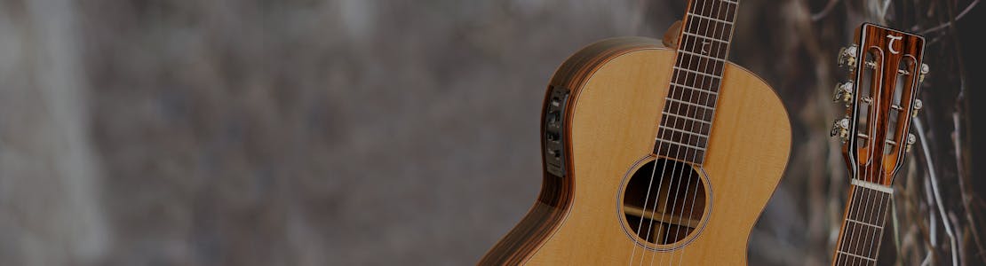 Tanglewood - Java Guitars