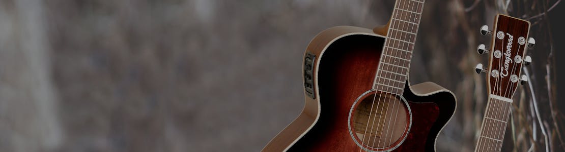 Tanglewood - Sundance Performance Pro Guitars