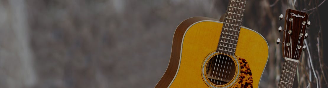 Tanglewood - Sundance Historic Guitars