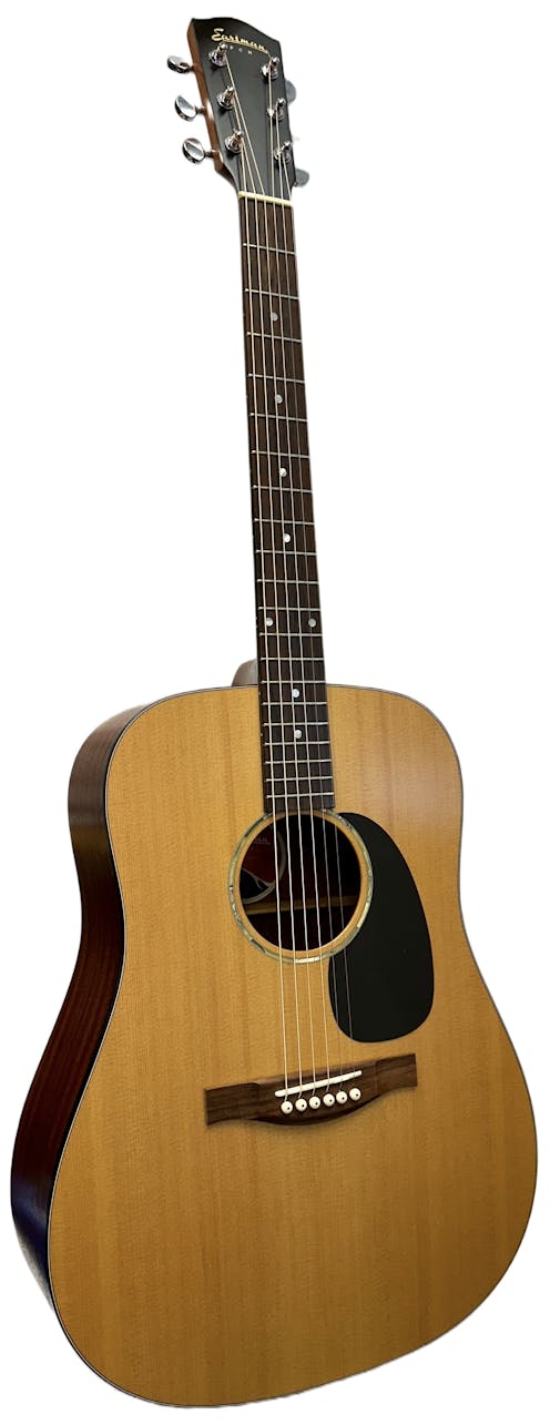 Eastman PCH1-D Dreadnought Guitar with Padded Gig Bag - Commission Sale