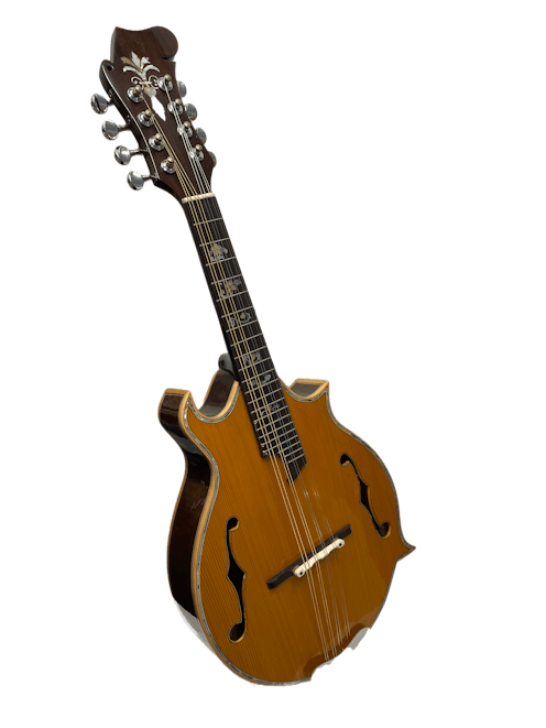Hien Dan F Style Mandolin