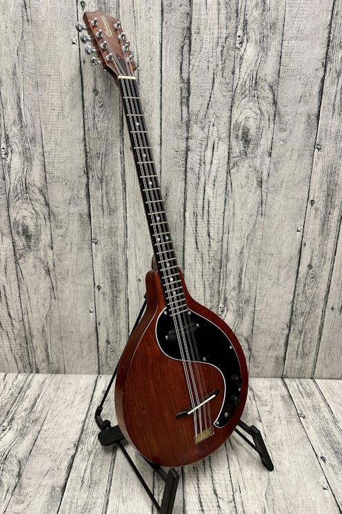 Oakwood Electric Solid Body Bouzouki - Commission Sale