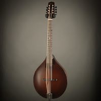 Northfield Wavelength Short Scale Octave Mandola with Gig Bag