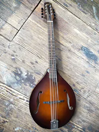 Northfield Wavelength Short Scale Octave Mandola with Gig Bag