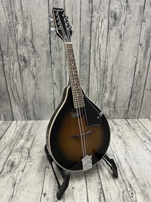 Tanglewood TWM OS VSG Teardrop Mandolin with Gig Bag - Commission Sale