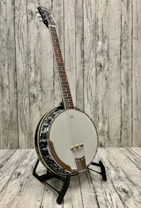 Tonewood 6-String Banjo - Commission Sale