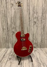 Epiphone Allen Woody Signature Rumblekat Electric Bass with Hard Case - Commission Sale