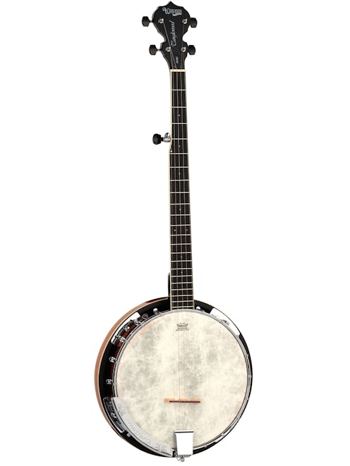 Tanglewood TUB5 5 String Banjo