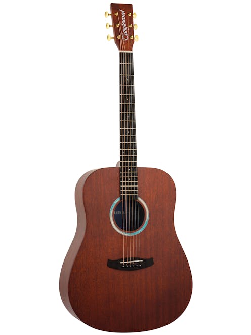 Tanglewood TE5BL