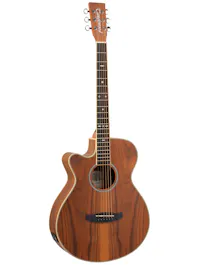 Tanglewood TRU4CEAQLH