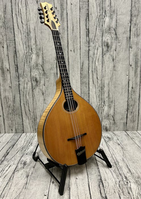 Oakwood Octave Mandolin with Hard Case - Commission Sale