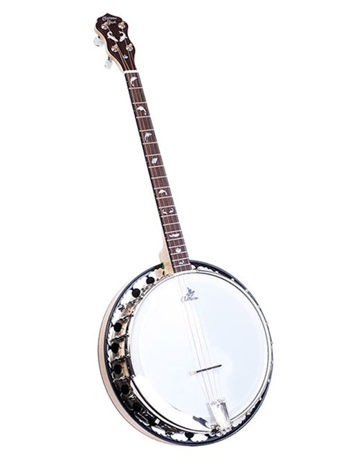 Clareen Pearl 19 Fret Tenor Banjo with ABS Case