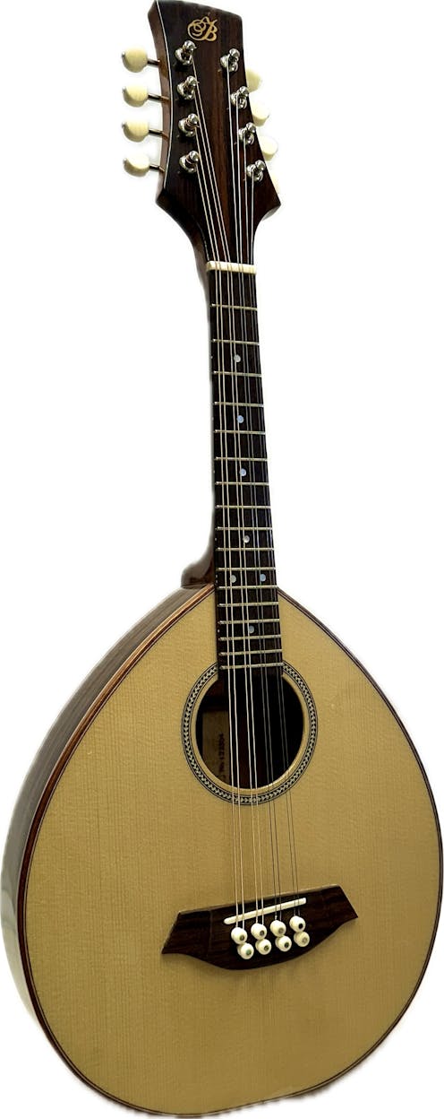 Buchanan Mandolin - Spruce and Rosewood