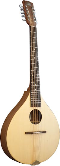 Ashbury Rathlin 10 String Cittern