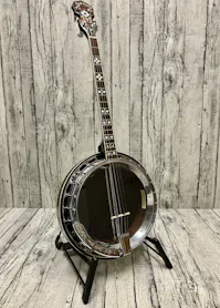 Gold Tone TS250F Modified 19 Fret Resonator Banjo with Hard Case - Commission Sale