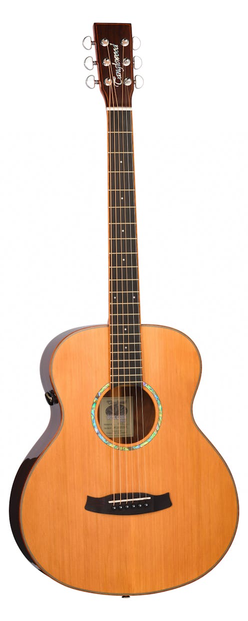 Tanglewood TRS1E