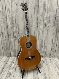 Wyre River Tenor Guitar with TGI Extreme - Commission Sale