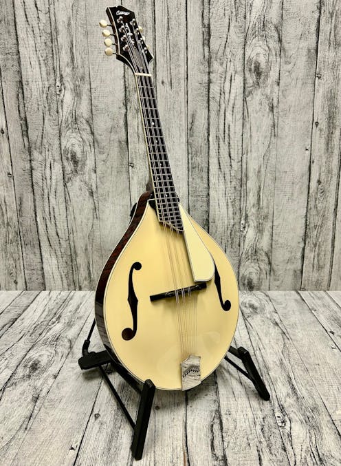 Collings MT2 Mandola with Hard Case - Commission Sale