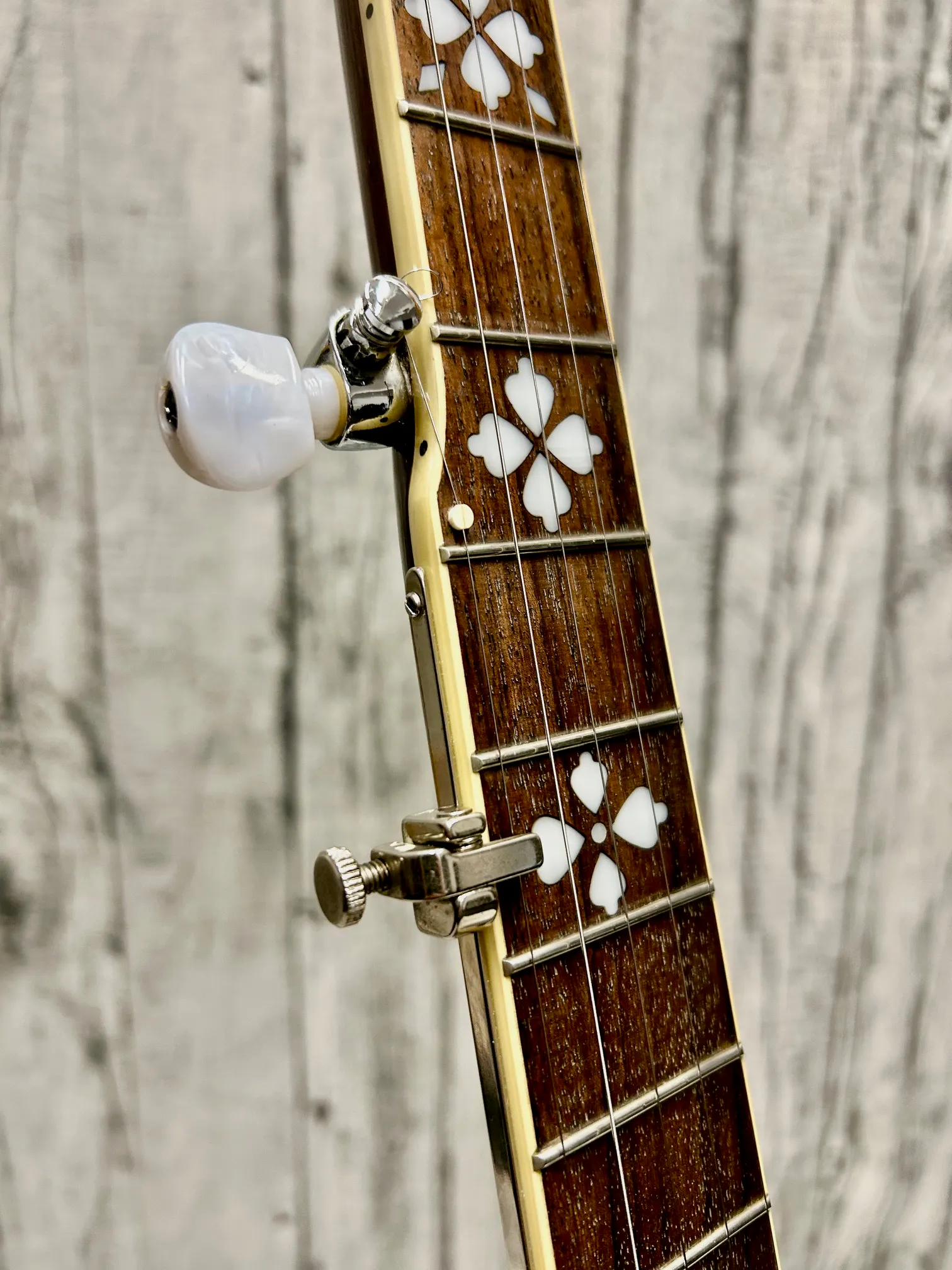 Epiphone 
