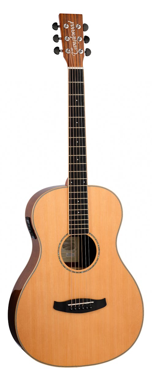 Tanglewood TRX8E