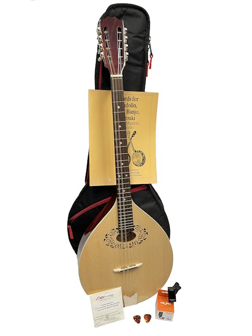 Ozark 2223 Octave Mandola Beginners Pack