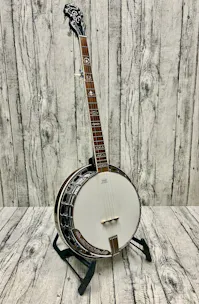 Ozark 2141G 5-string Banjo with Hard Case - Commission Sale
