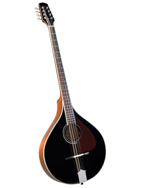 Trinity College TM-375B All Solid Bouzouki with Black Top Deluxe Gig Bag