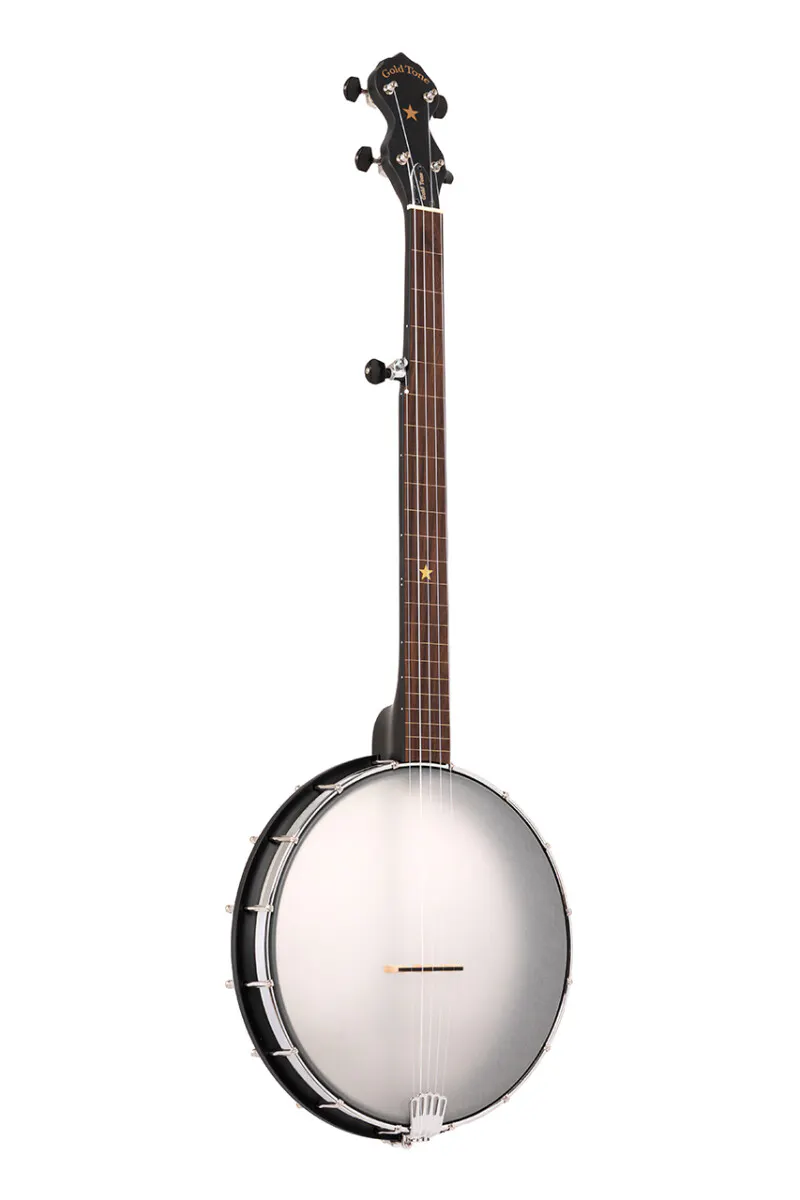 AC-12 FL Acoustic Composite 5-String Fretless Openback Banjo with 12