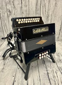 Gabbanelli Pocket Melodeon in D/G with Hard Case - Commission Sale