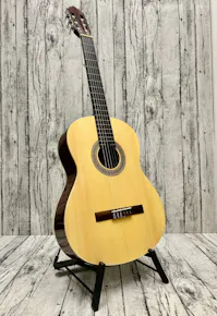 Samick Greg Bennett Design C2 Classical Guitar - Commission Sale