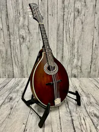 Eastman MD304 Handcrafted A-Style Mandolin with Gig Bag - Commission Sale