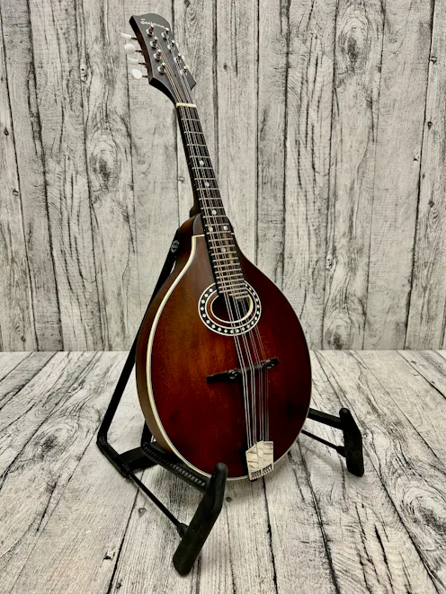 Eastman MD304 Handcrafted A-Style Mandolin with Gig Bag - Commission Sale