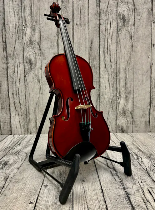 Stentor Conservatoire Violin Outfit - Commission Sale