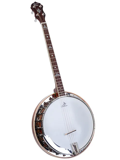Clareen Celt 19 Fret Tenor Banjo with ABS Case