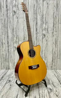 Ozark 2246 Electro Guitar Bouzouki - Commission Sale
