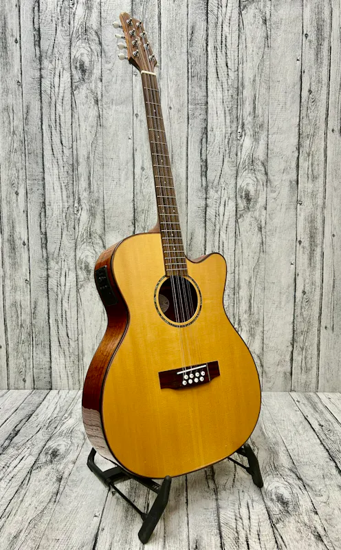 Ozark 2246 Electro Guitar Bouzouki - Commission Sale