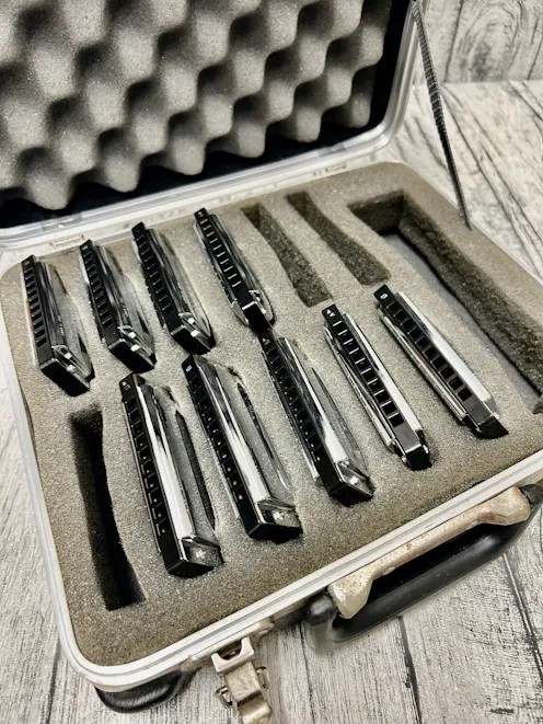 Hering Blues Diatonic Harmonica Set with Hering Case - Commission Sale