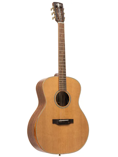Crafter Mind G17E FGY N Electro Acoustic Guitar with Gig Bag