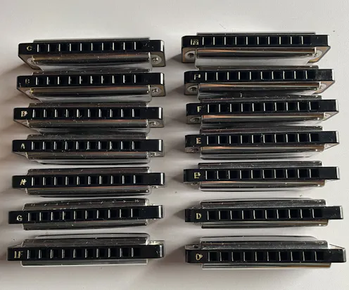Bushman Delta Frost Diatonic Harmonica Set of 12 - Clearance
