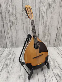 Herwiga Solist Bowlback Mandolin with Gig Bag - Commission Sale