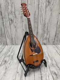 Cortez Bowlback Manddolin with Hard Case - Commission Sale