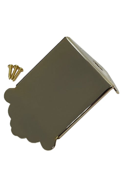 Leader Banjo Co Mandolin Tailpiece 'A' Style Plain Gold