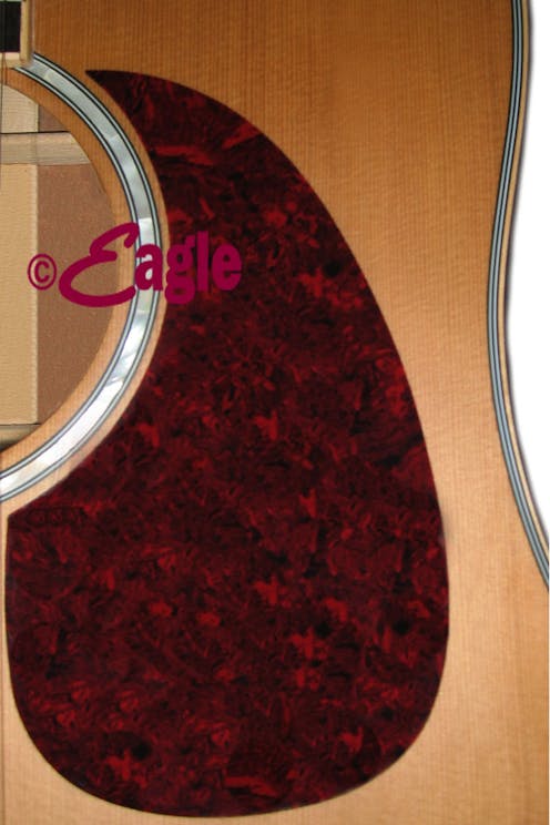 pick guard scratch plate